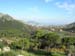DSCN0448